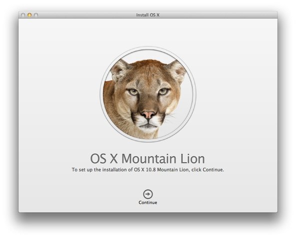 Mountain Lion (Installation dialogue)
