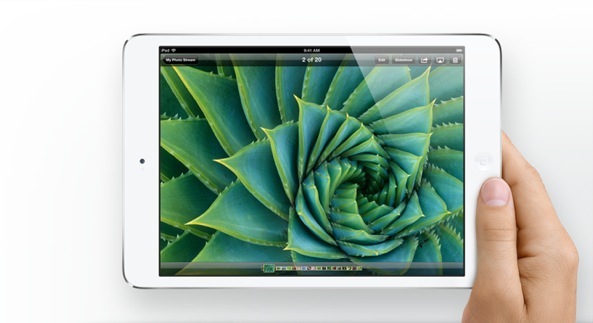 iPad mini (landscape, in hand, display)