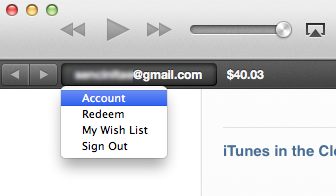 photo of How to set up an iTunes and App Store allowance image