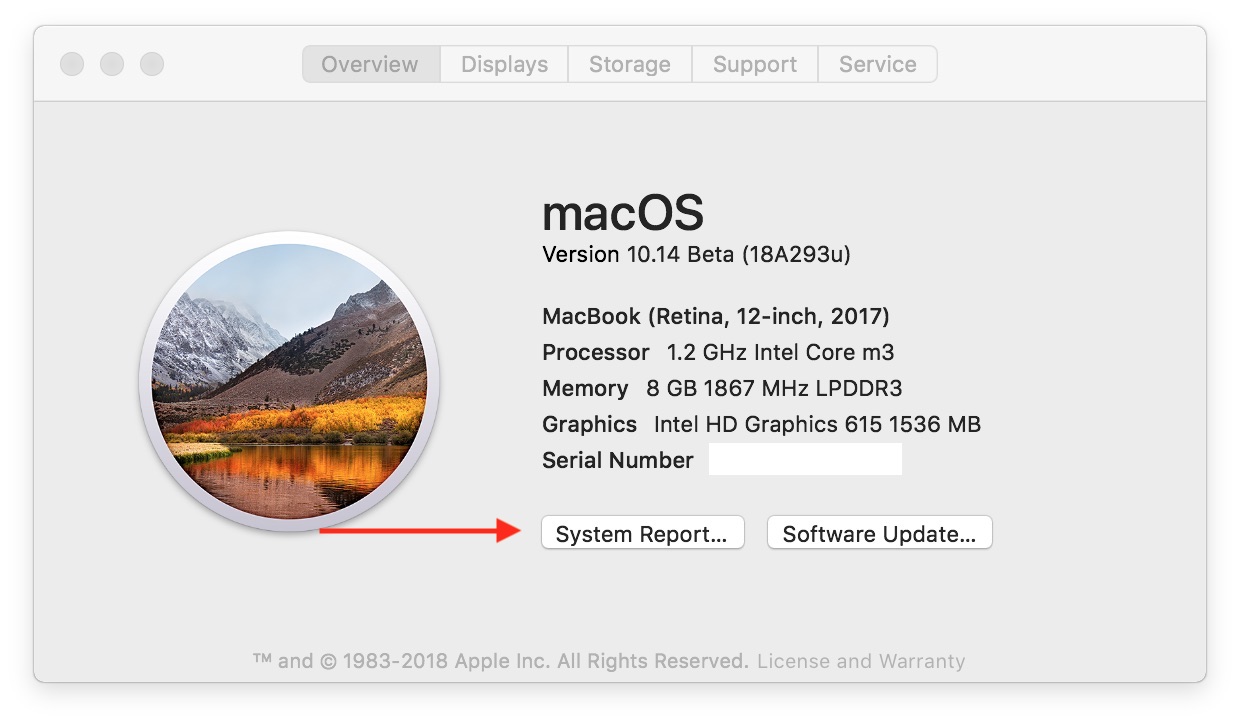 Download Java Mac Os Mojave system-report-macos-mojave