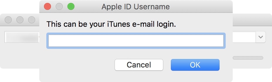 Enter-Apple-ID-Electra1131.jpg