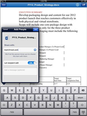 SkyDrive Pro 1.0 for iOS (iPad screenshot 001)