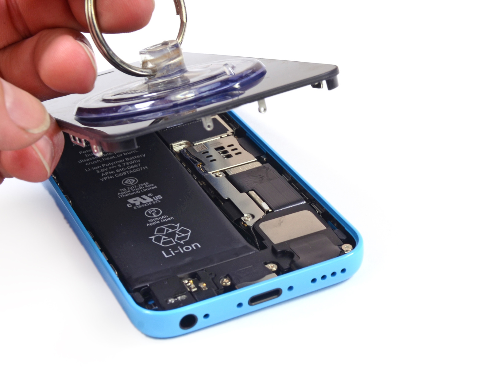 iPhone 5c (blue, iFixit teardown 001)