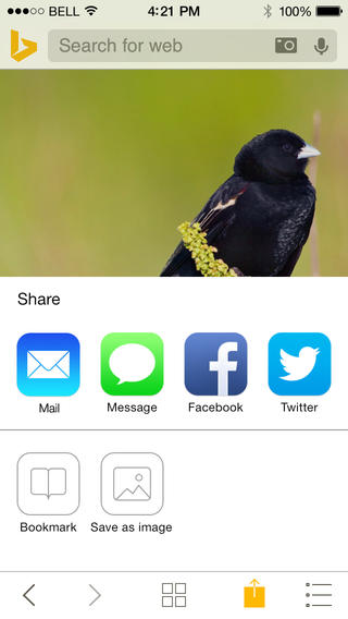 Bing 4.2 for iOS (iPhone screenshot 002)