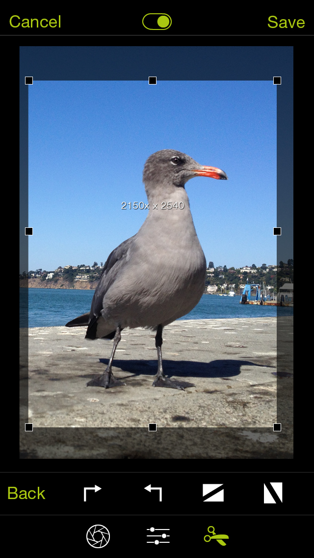 Pro Camera 7 for iOS (iPhone screenshot 004)
