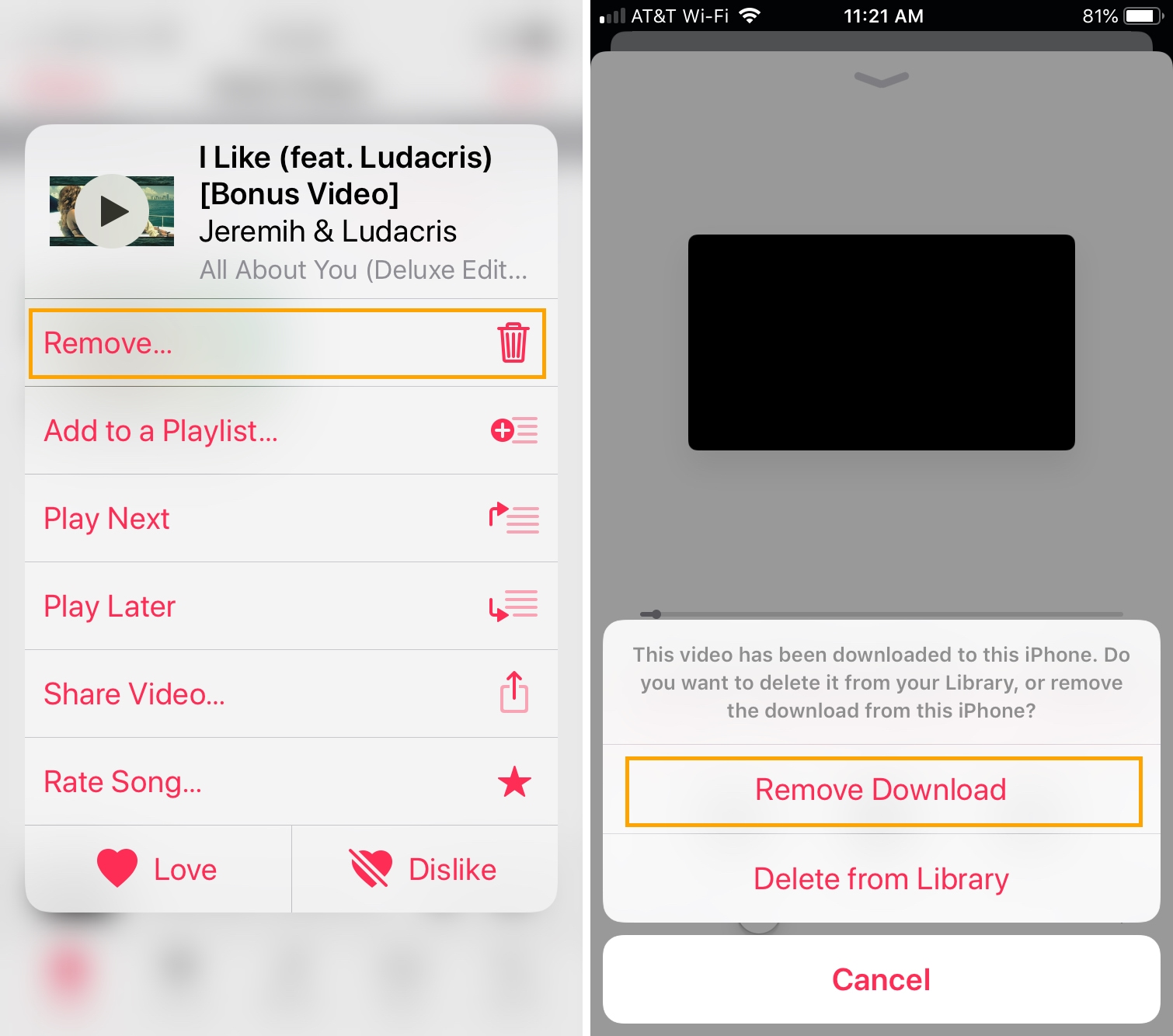 Delete Music Videos Music App iPhone