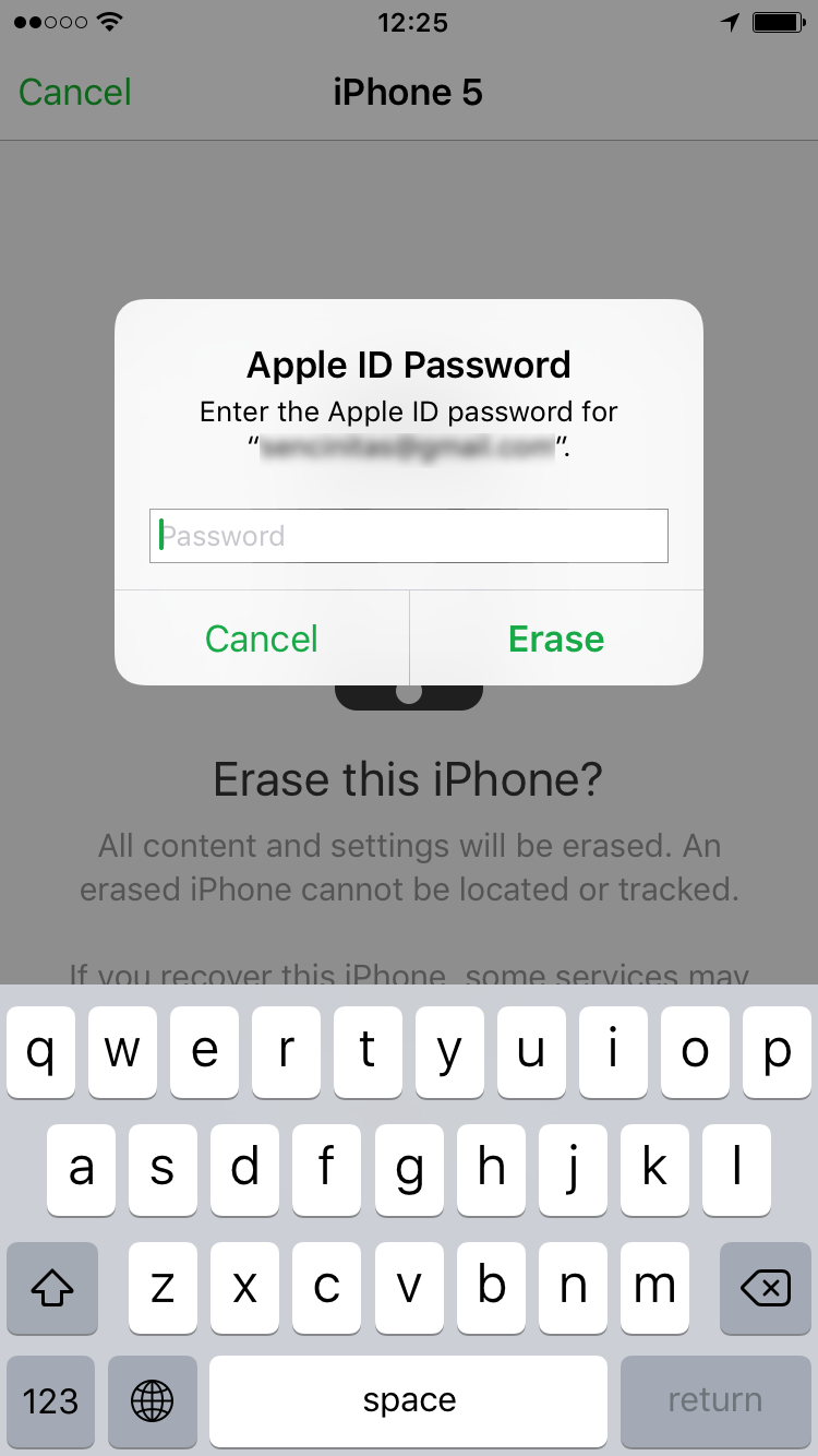 enter password to erase iPhone