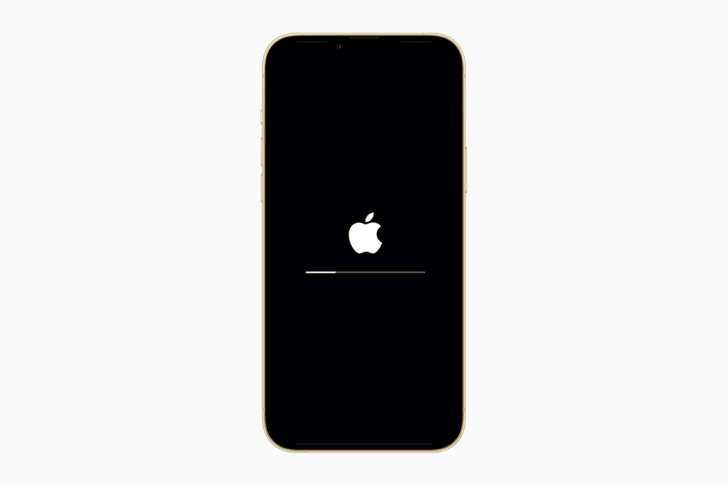 iPhone with white Apple logo and progress bar while erasing it