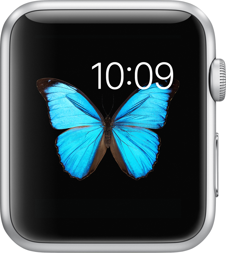 Apple Watch display