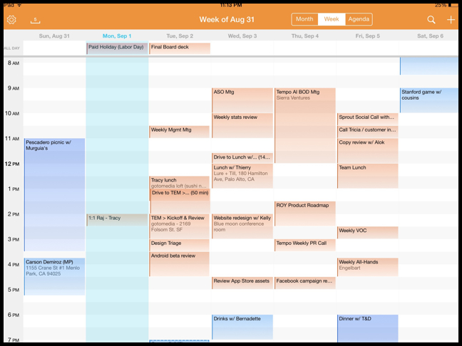 Tempo 1.5 for iOS (Week view, iPad screenshot 003)