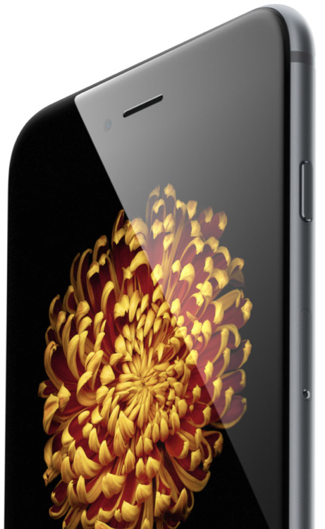 iPhone 6 display