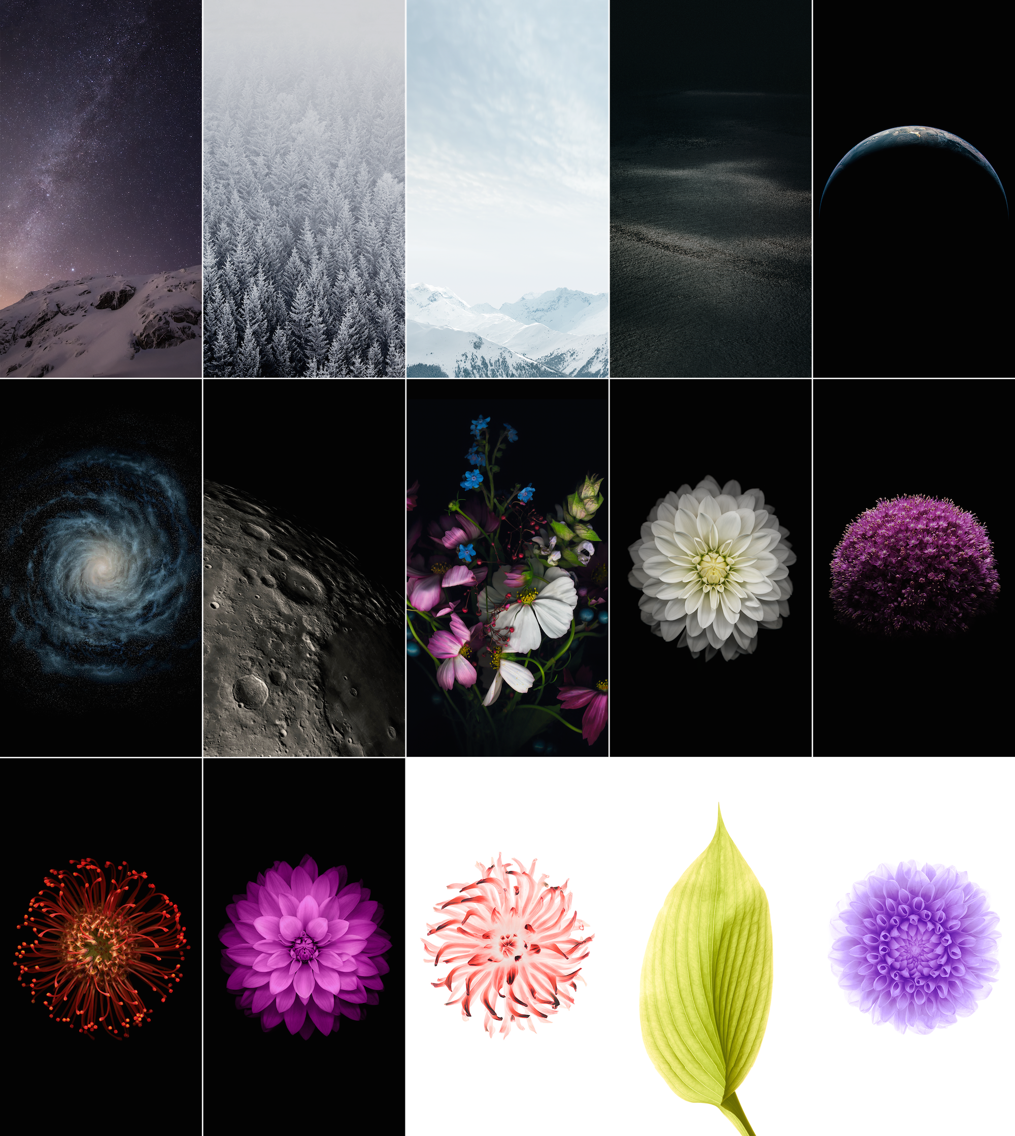 Download the new iOS 8 wallpapers