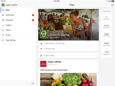 Facebook Pages Manager 12.0 for iOS (iPad interface 001)