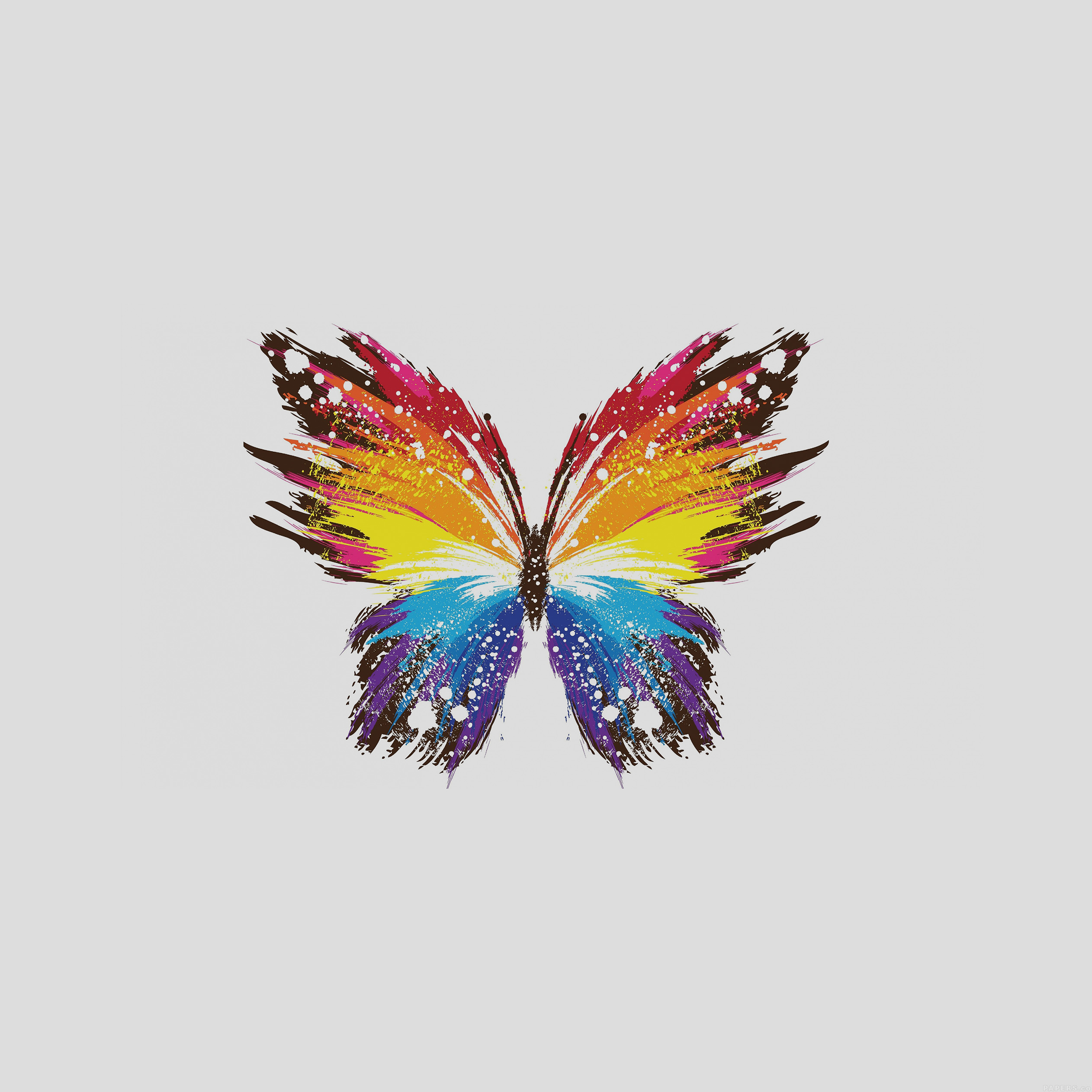 butterfly-art-illust-cute-minimal-9-wallpaper