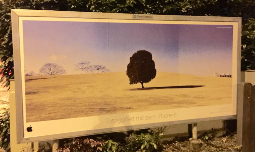 Apple campaing Shot on iPhone 6 Timotyh Germany outdoor poster