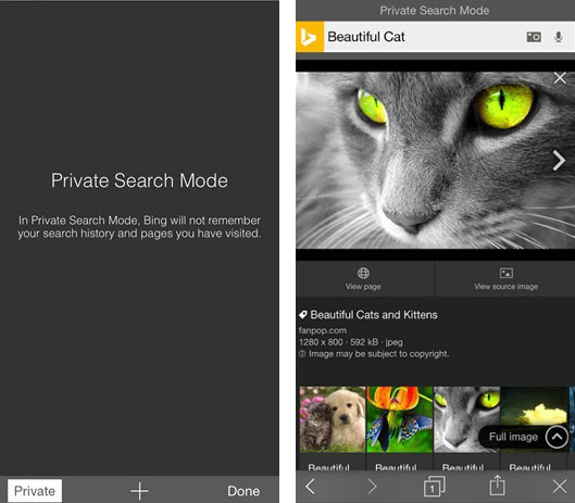 Bing 5.5 for iOS Private Search Mode iPhone screenshot 001