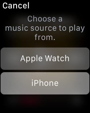 Apple Watch Music Source screenshot 001