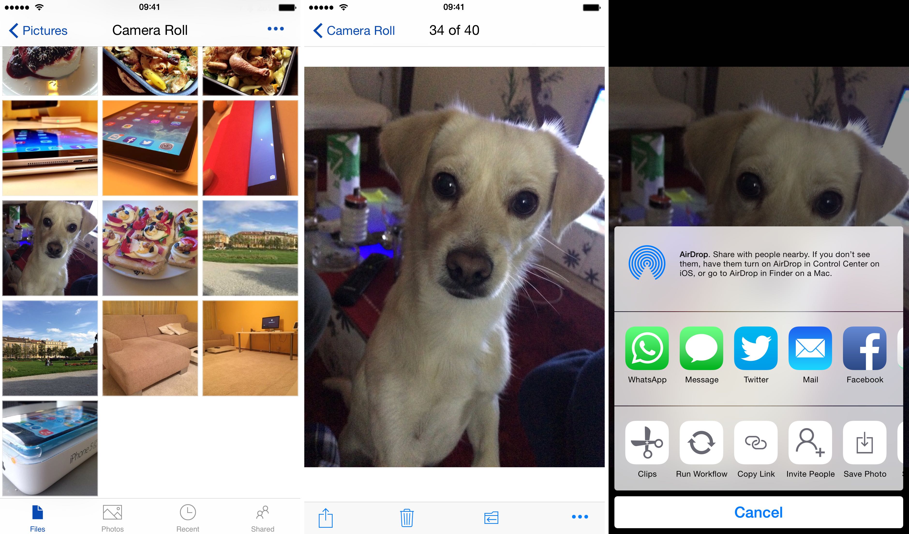 OneDrive 5.5 for iOS iPhone screenshot 001
