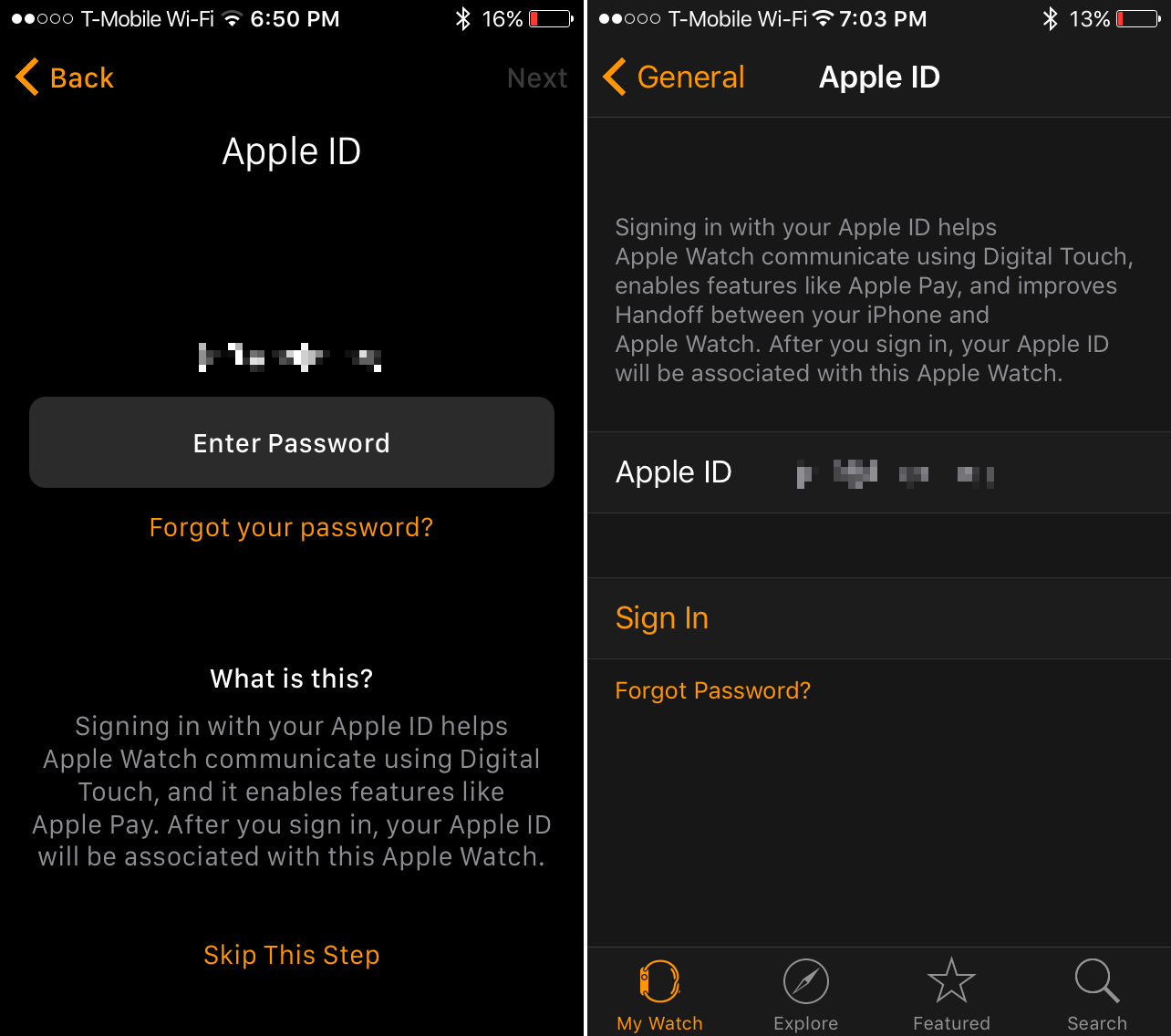Sign in Apple ID Apple Watch Activation Lock