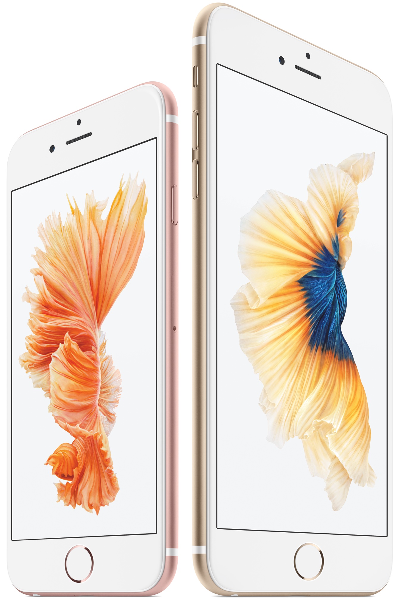 iPhone 6s iPhone 6s Plus two up front image 003