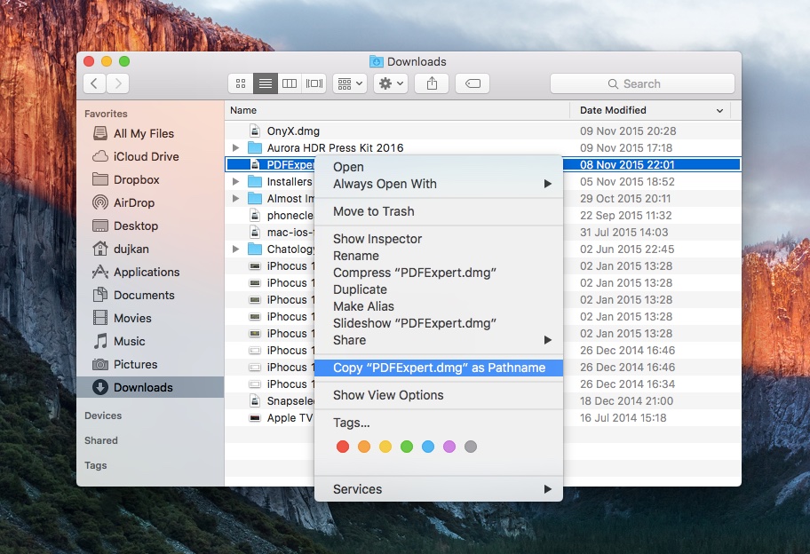 Copy the file pathname in Finder