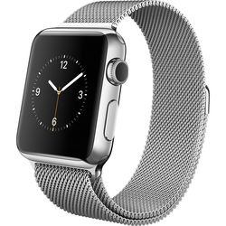 Apple Watch Stainless