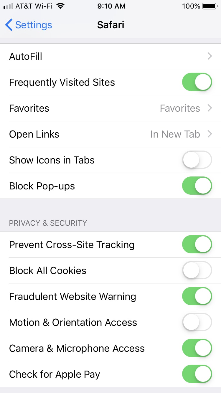 Safari Privacy Settings iPhone