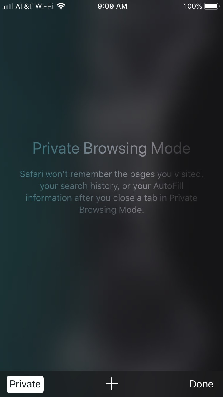 Safari Private Browsing Mode iPhone