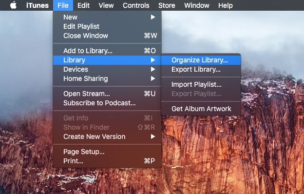 Organize iTunes library