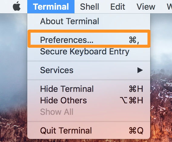 Open Terminal preferences