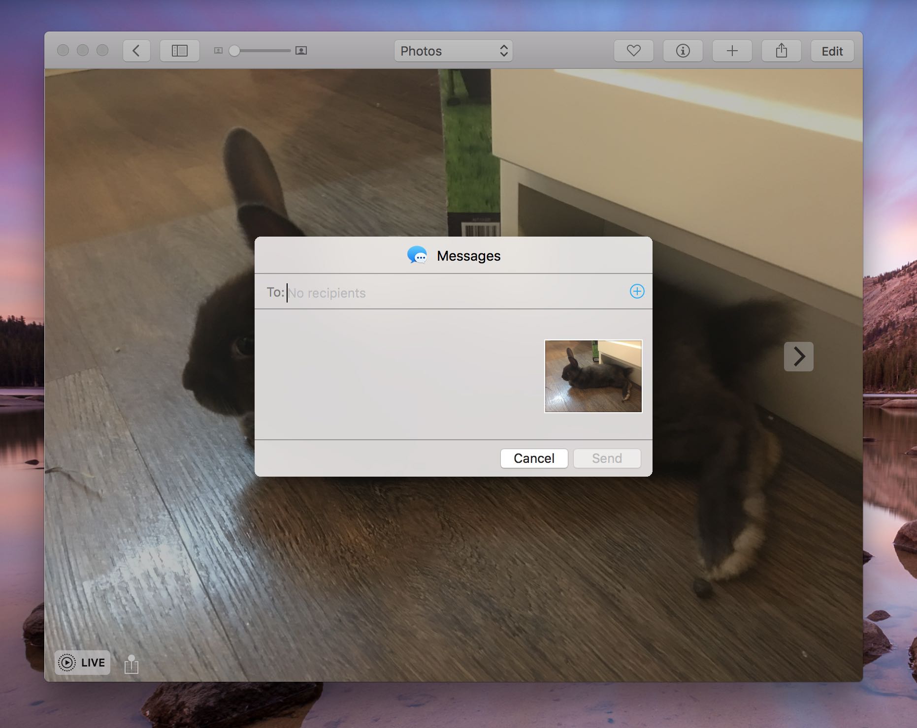 OS X El Capitan Photos Live Photos share menu Mac screenshot 002