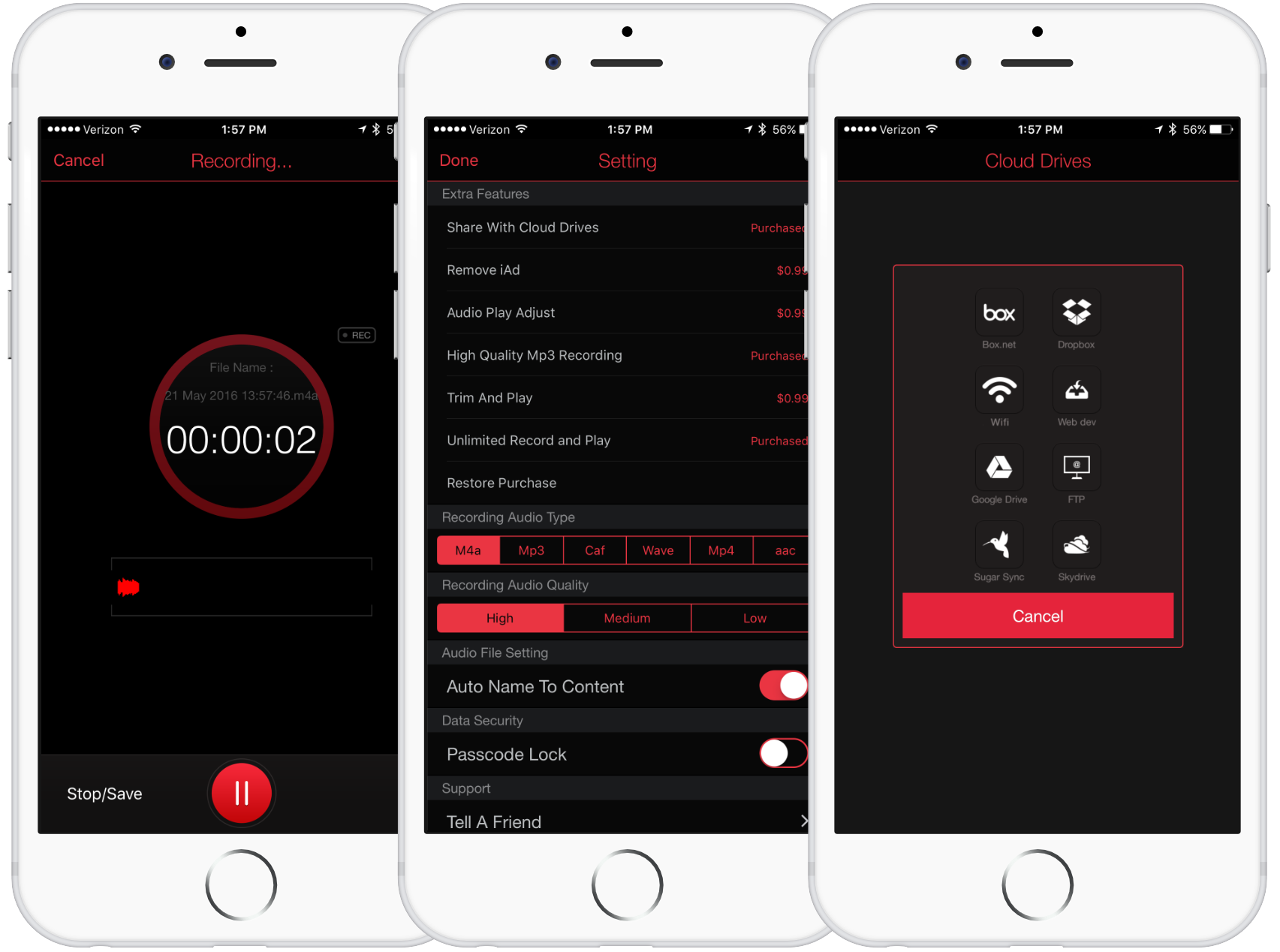 best voice recording apps for iphone and ipad - Recorder Plus Screenshots