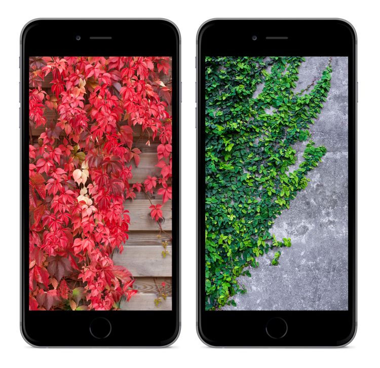 iOS 10 Home app wallpapers kiwimanjaro