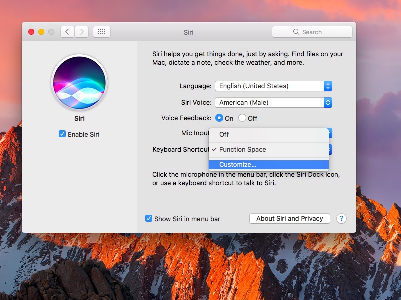 macOS Sierra Siri settings Mac screenshot 004