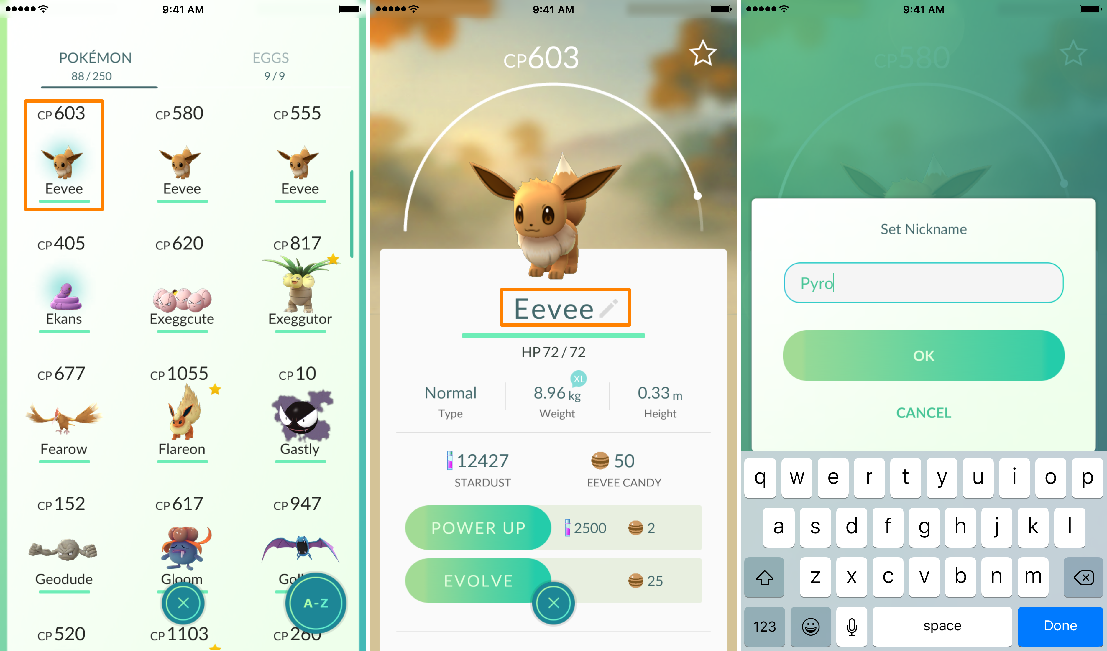 Rename Eevee into Pyro to Get Flareon