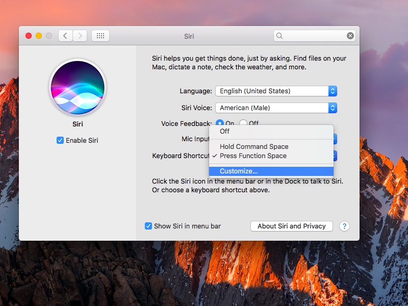 macOS Sierra System Preferences Siri customize keyboard shortcut screenshot 001