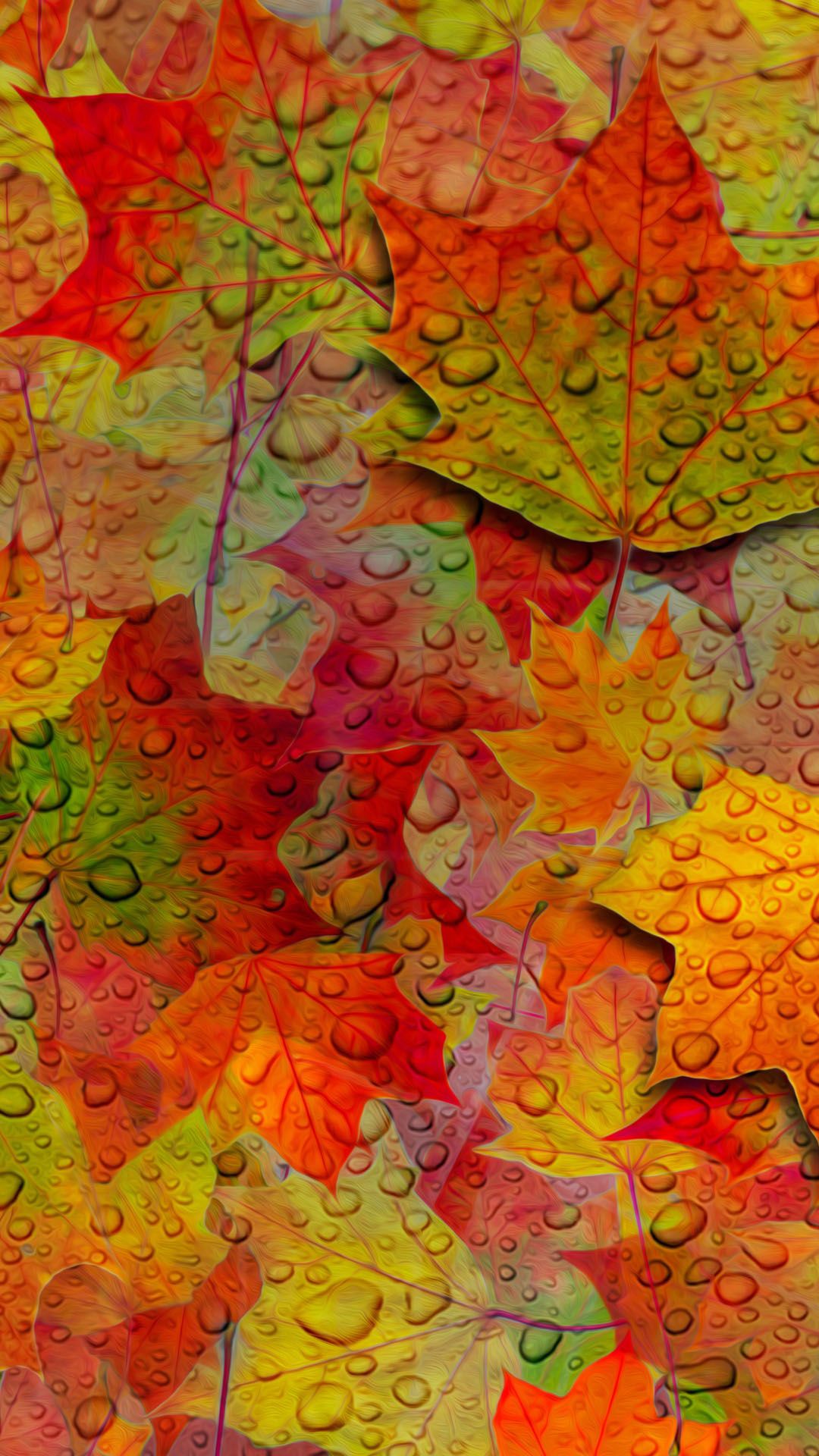 Wallpapers of the week: autumn