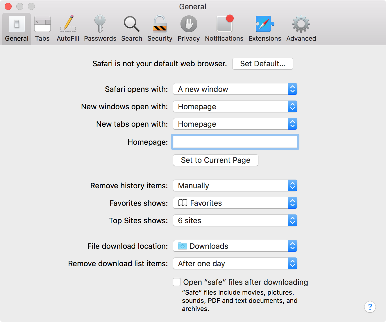 Safari Home Page Text Field