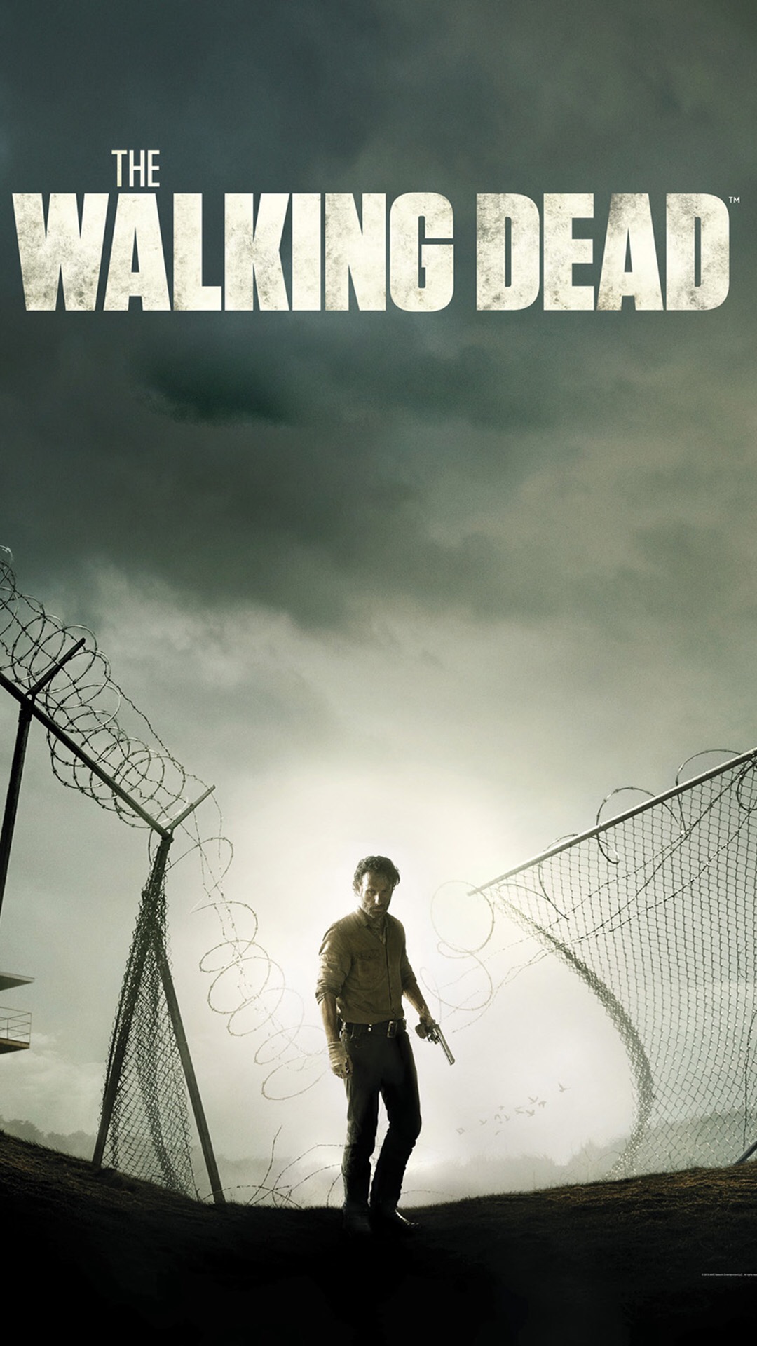 The Walking Dead iPhone wallpaper 5