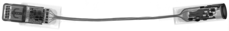 iPhone 7 Lightning headphone adapter X-ray iFixit 001