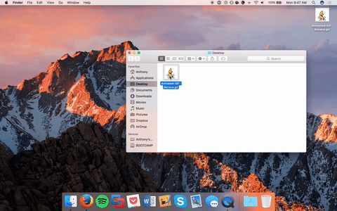 Gif For Mac