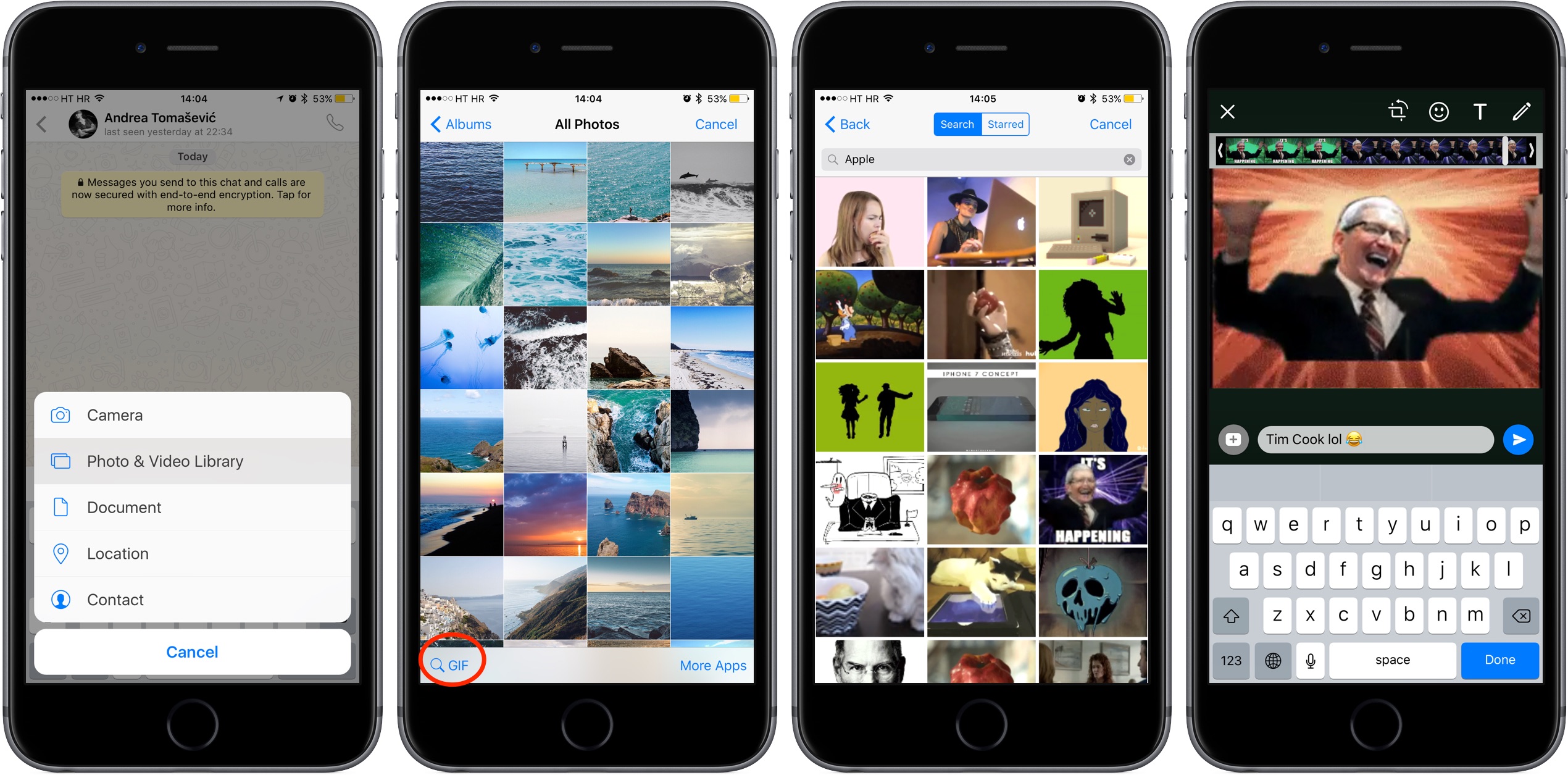 WhatsApp 2.16.16 for iOS GIF search button iPHone screenshot 001