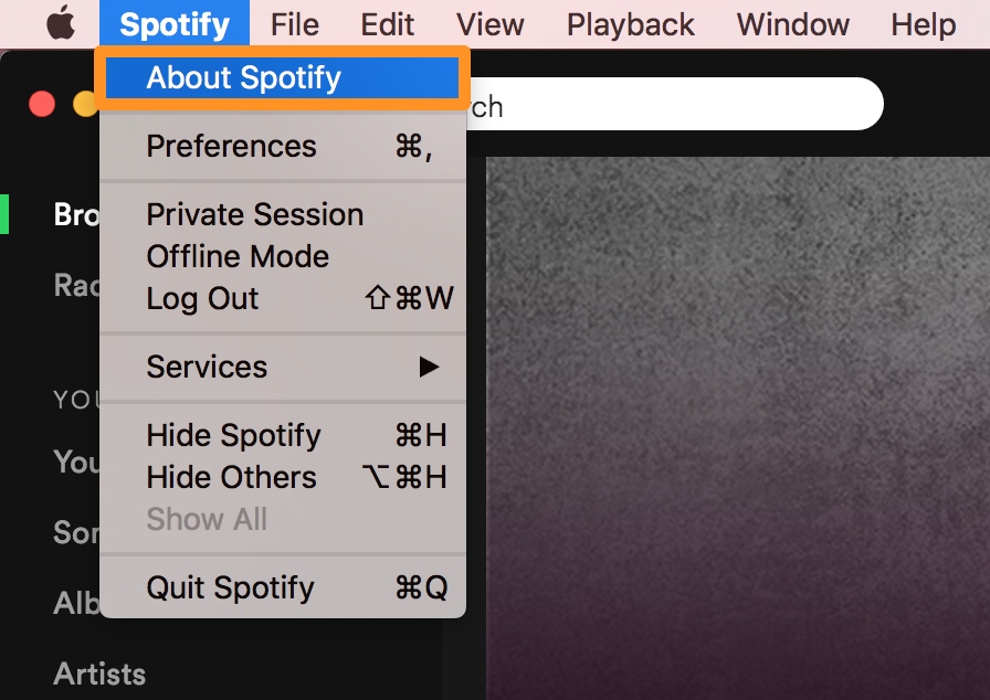 Spotify download macbook