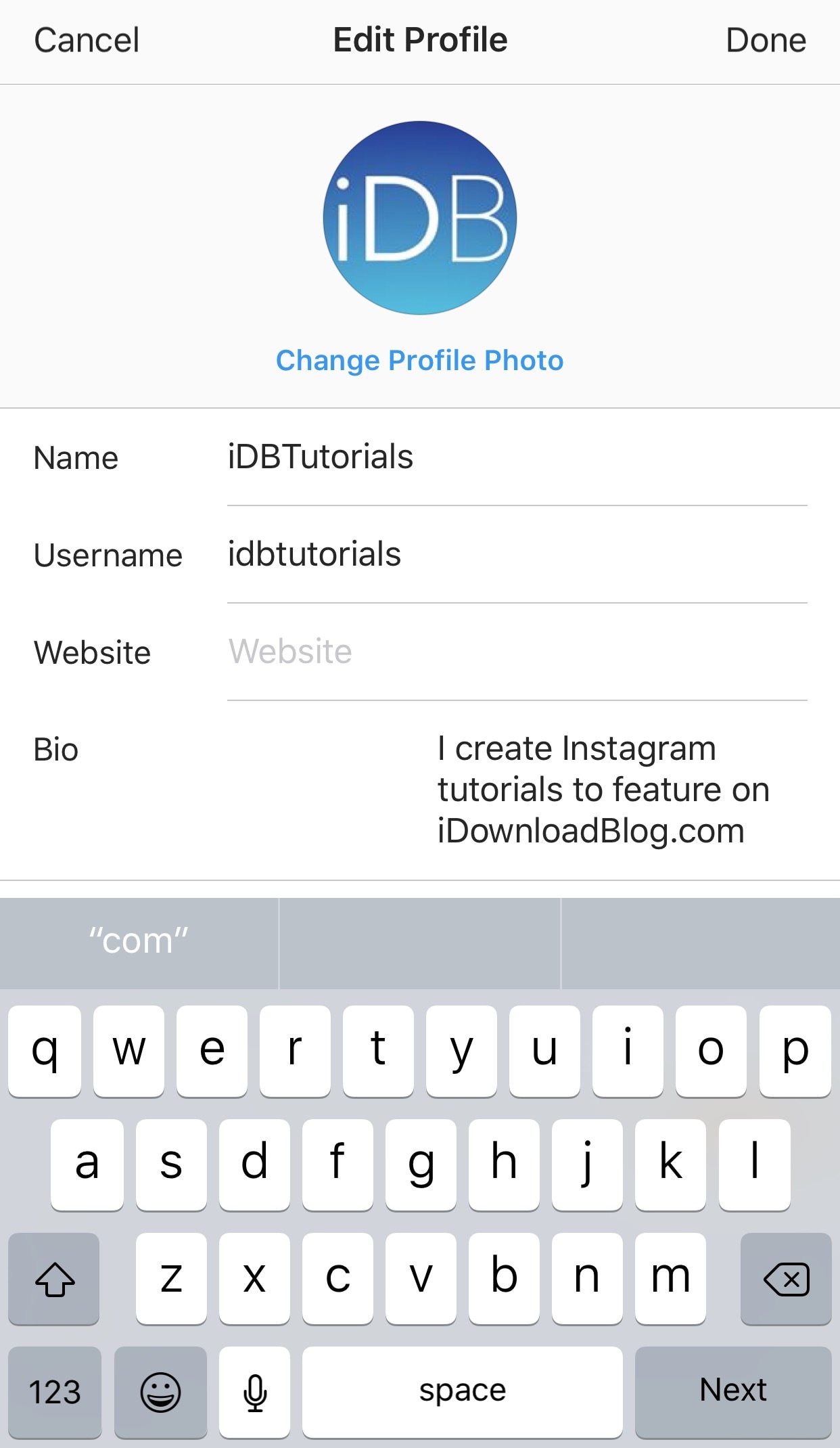 How to Craft the Best Instagram Bios for Businesses