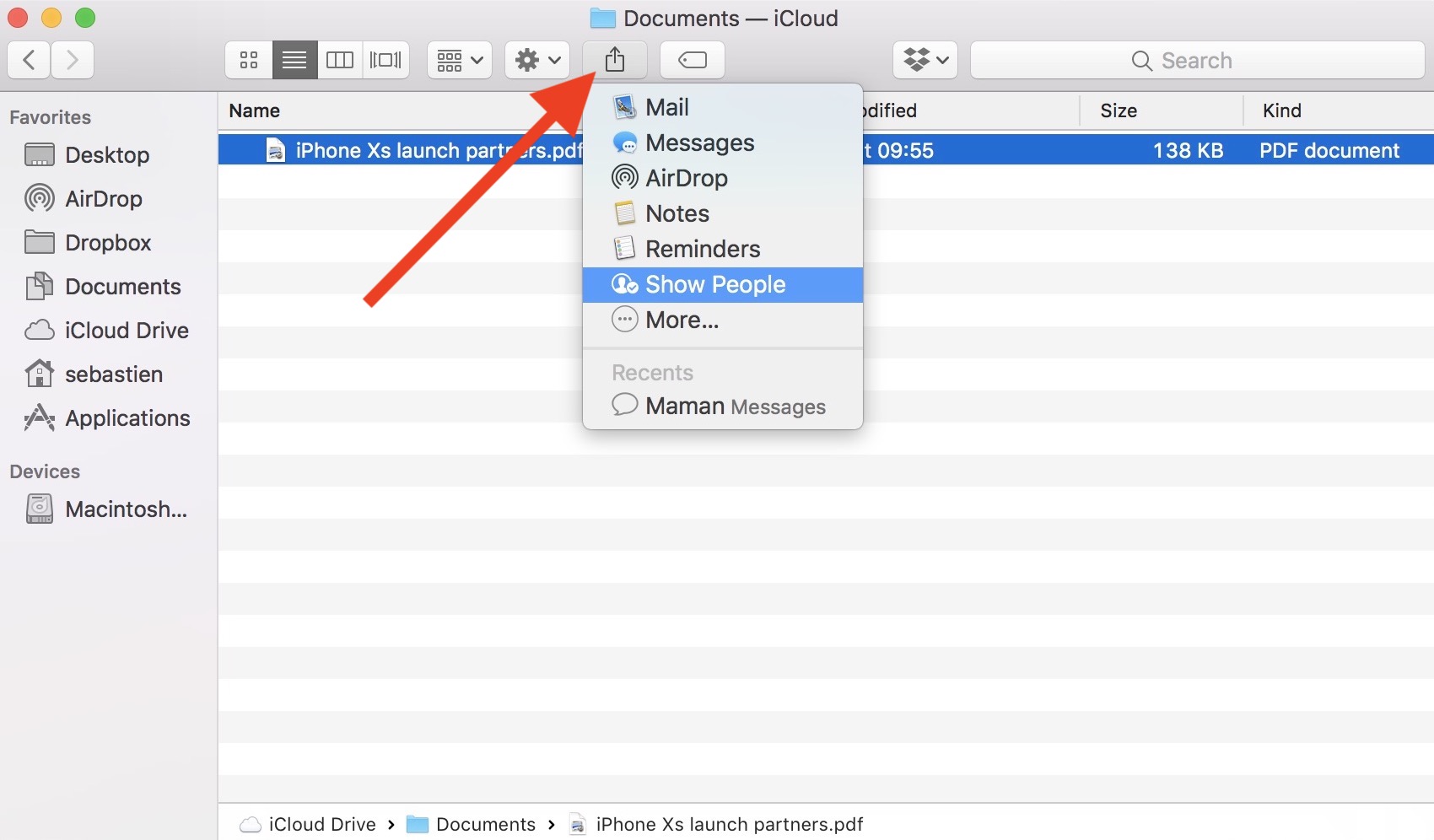 Show people you are sharing iCloud file with on Mac