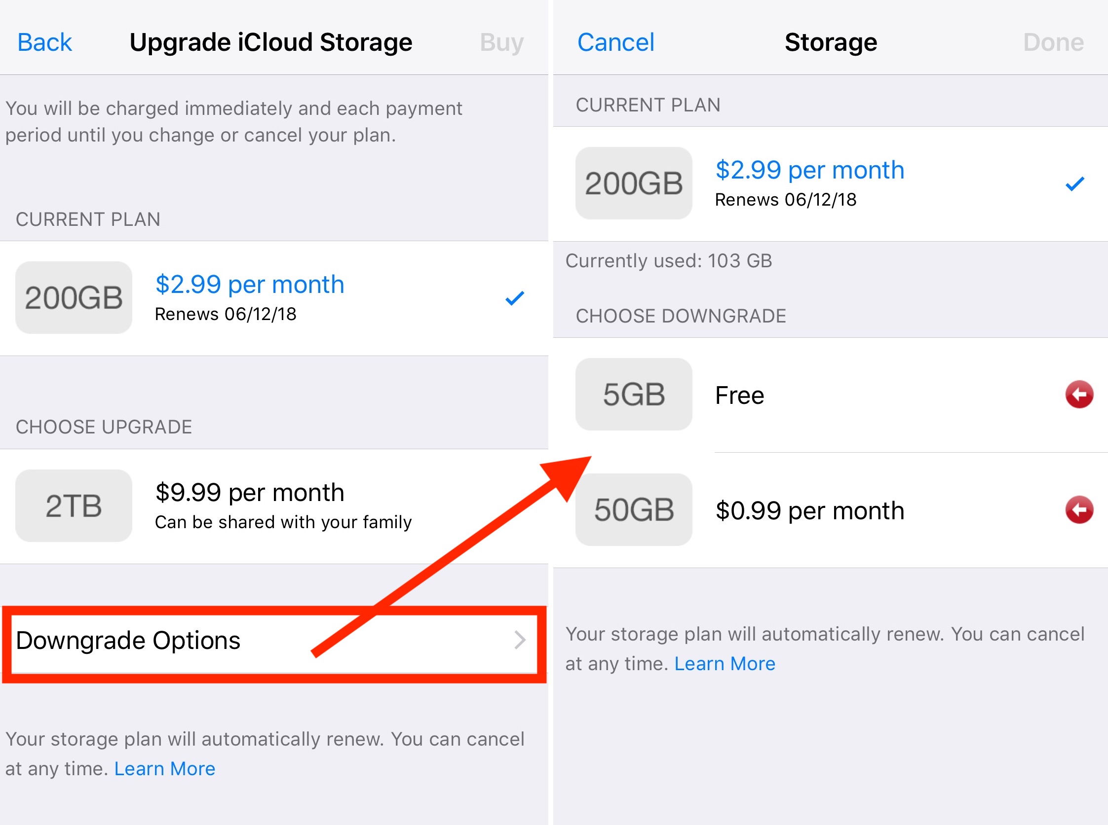 Downgrading iCloud Storage