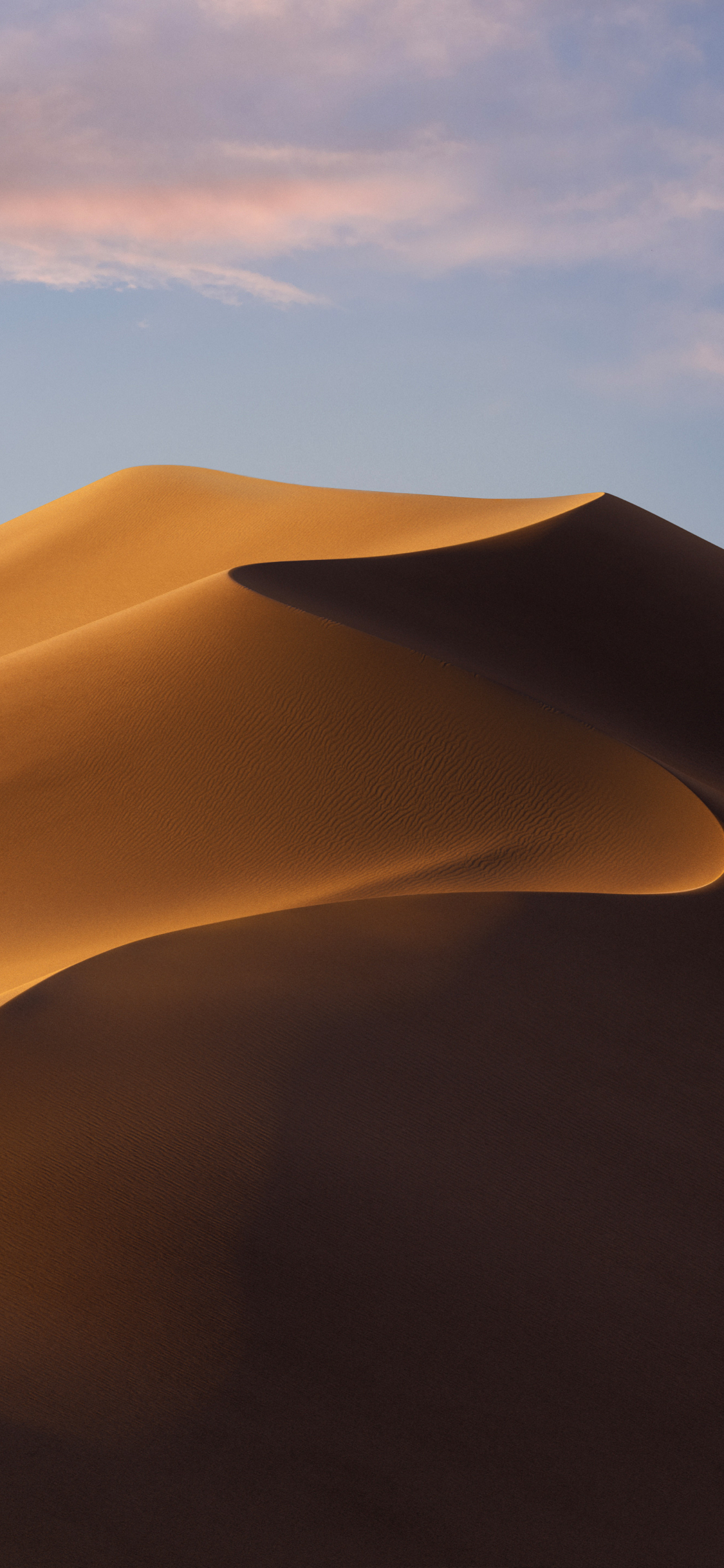Download macOS Mojave wallpapers for desktop and iPhone