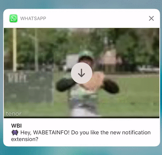 WhatsApp media previews in iOS notifications support animated GIFs