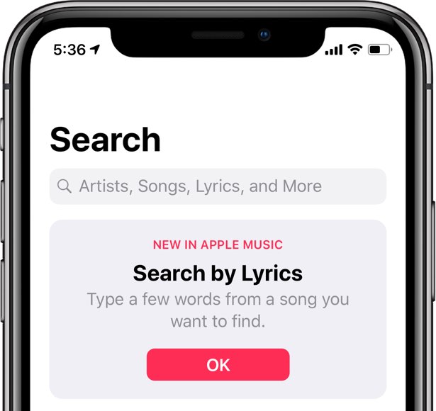 The stock Music app on iOS 12 and later brings a new lyric search feature, in addition to the existing ability to find a song you like by its artist, title and more
