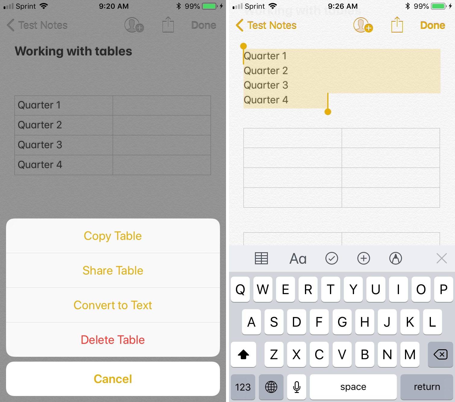 Notes Convert to Text iPhone